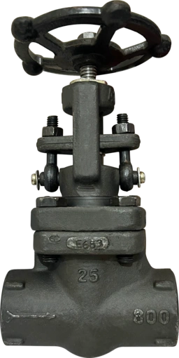 FORGED STEEL GLOBE  VALVE 800#