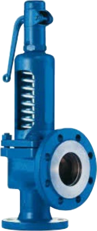 Safety Valve